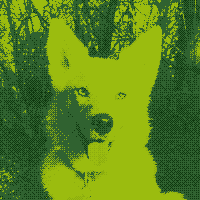dog image dithered to look like an original gameboy game