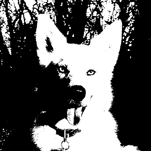 undithered black and white picture of my dog